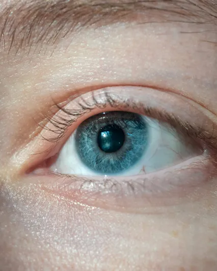 eye movement graphic